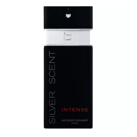 Silver Scent Intense (Decant)