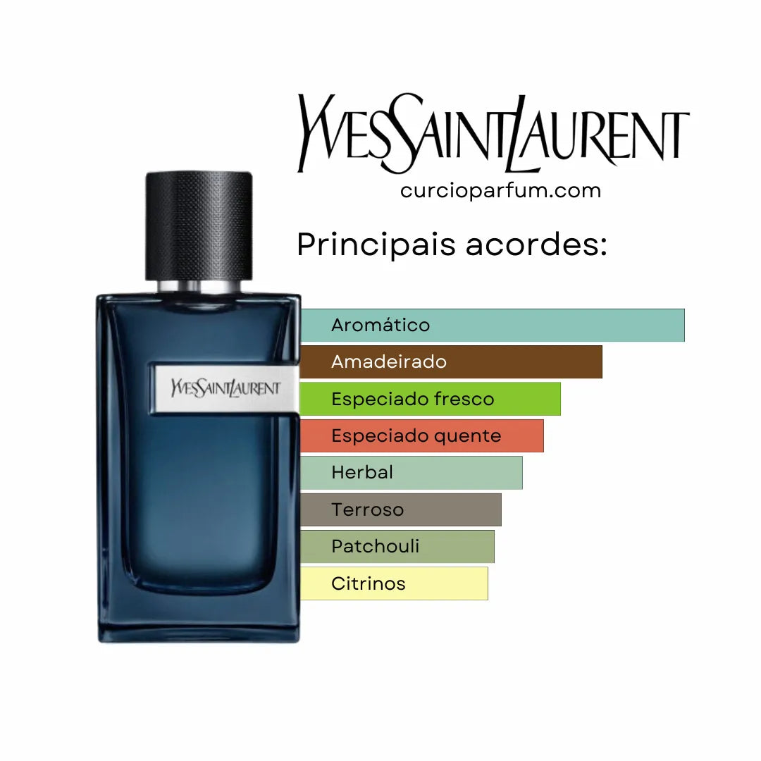 Y-YSL Intense - Eau de Parfum (Decant)